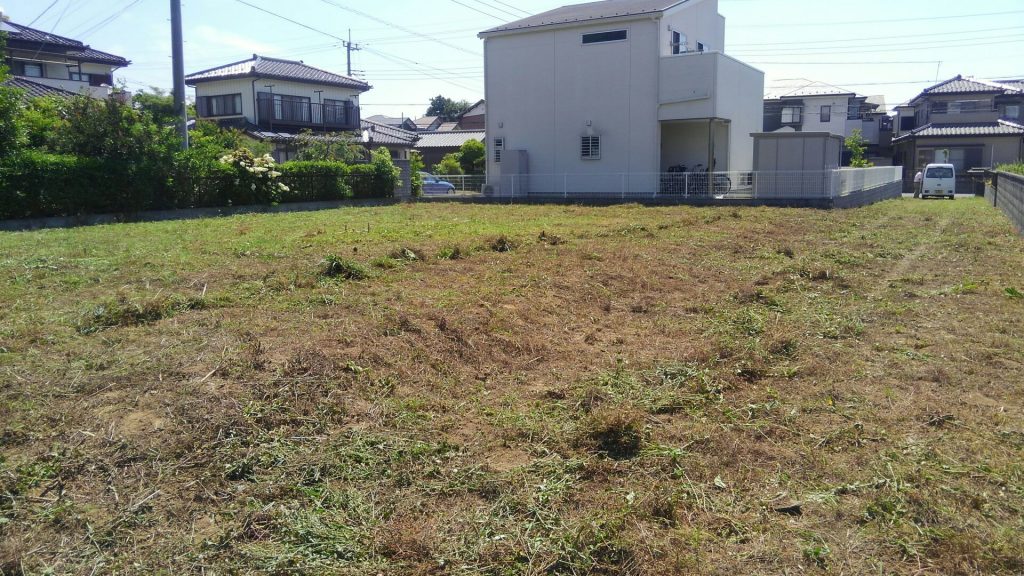 今日は二人で刈ったので楽勝でお終いです。もう間もなく開発の検査。そしていよいよ着工です！