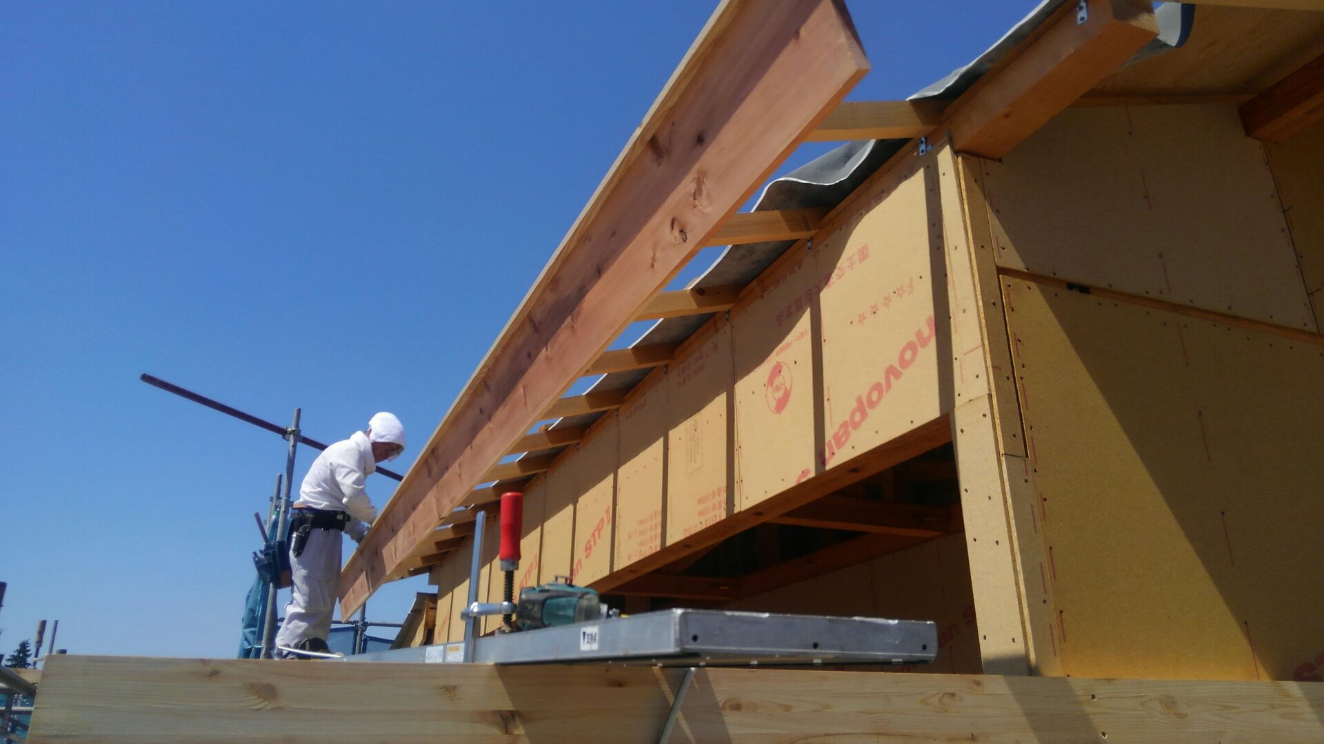棟上げ、上棟が完了し、大工さんが屋根下地、野地工事を開始しました。
