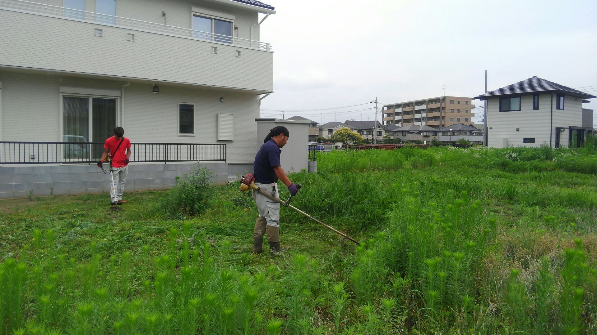地盤調査の前に草刈にきました。