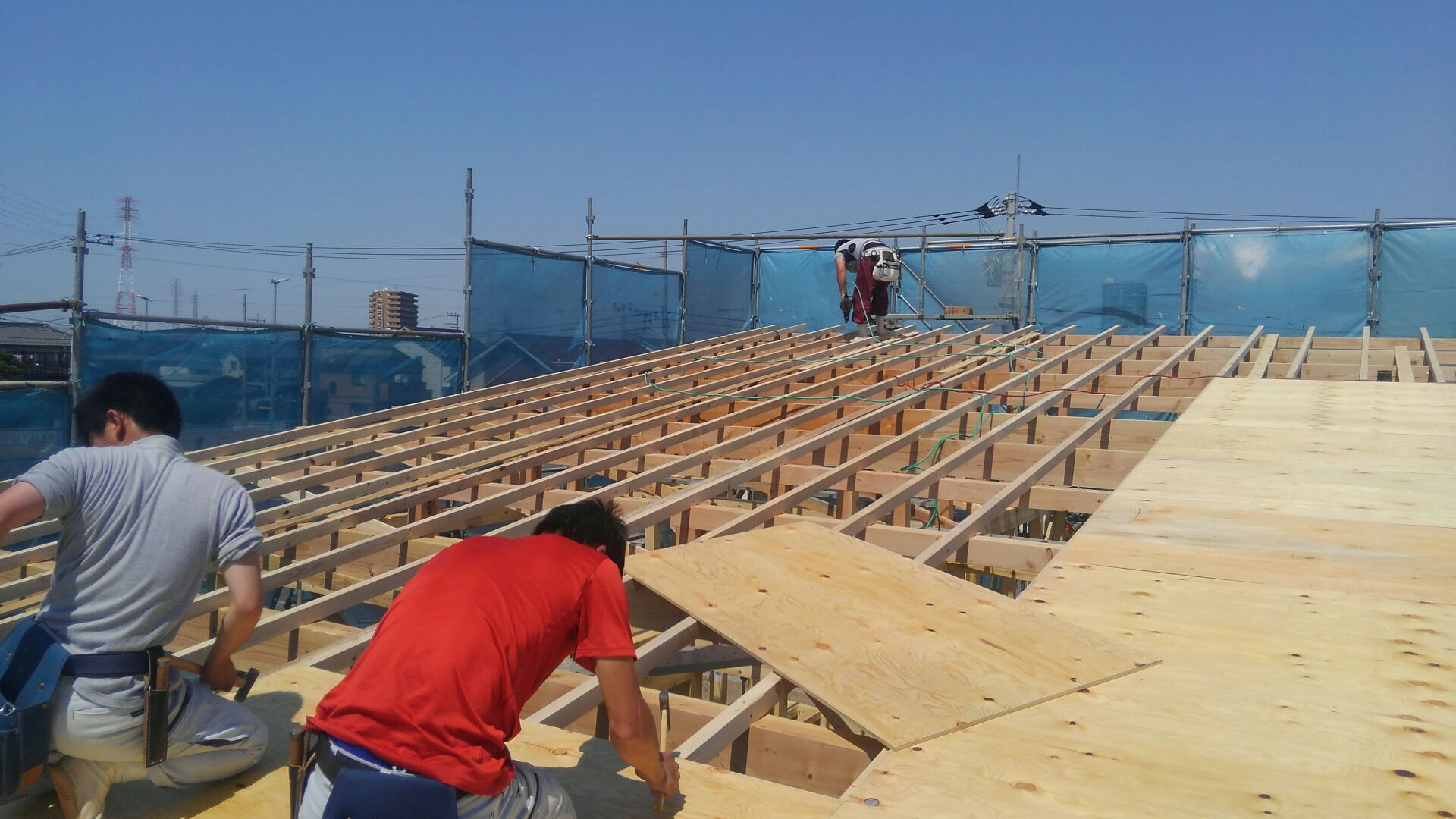 大工さん、屋根下地、野地工事をはじめました。